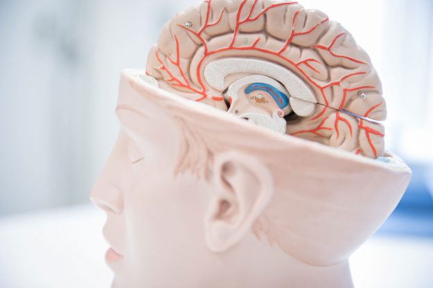 neurotherapie-hoofd