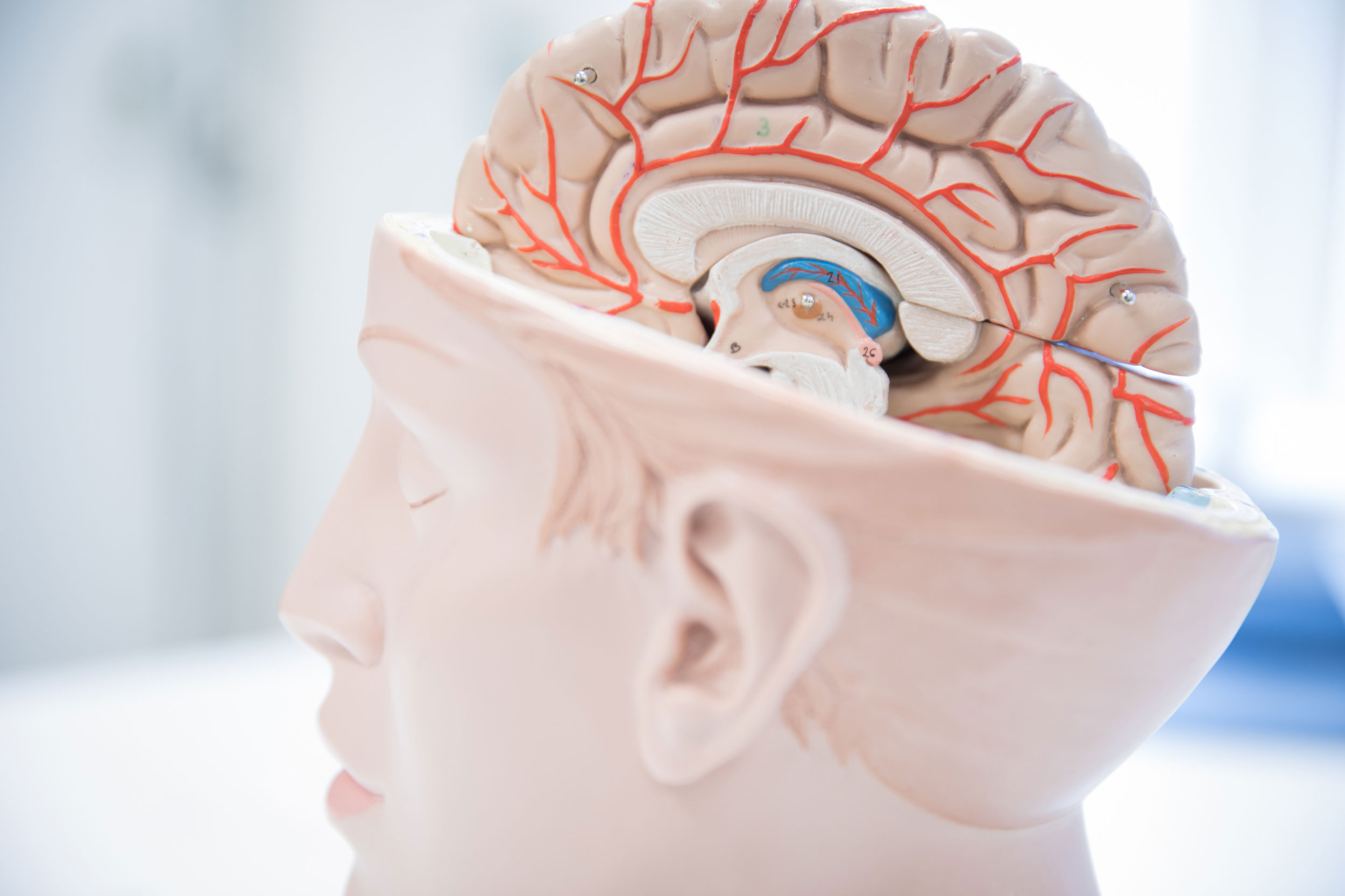 neurotherapie-hoofd